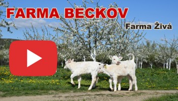 Farma Beckov - Farma živá